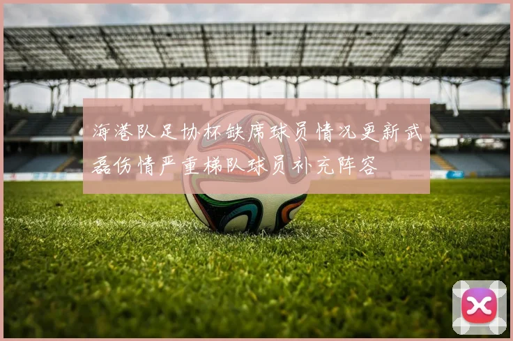 海港队足协杯缺席球员情况更新武磊伤情严重梯队球员补充阵容
