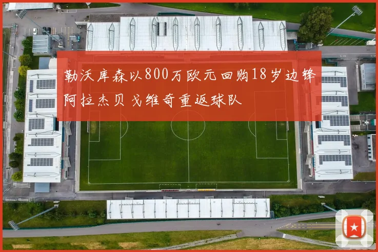 勒沃库森以800万欧元回购18岁边锋阿拉杰贝戈维奇重返球队